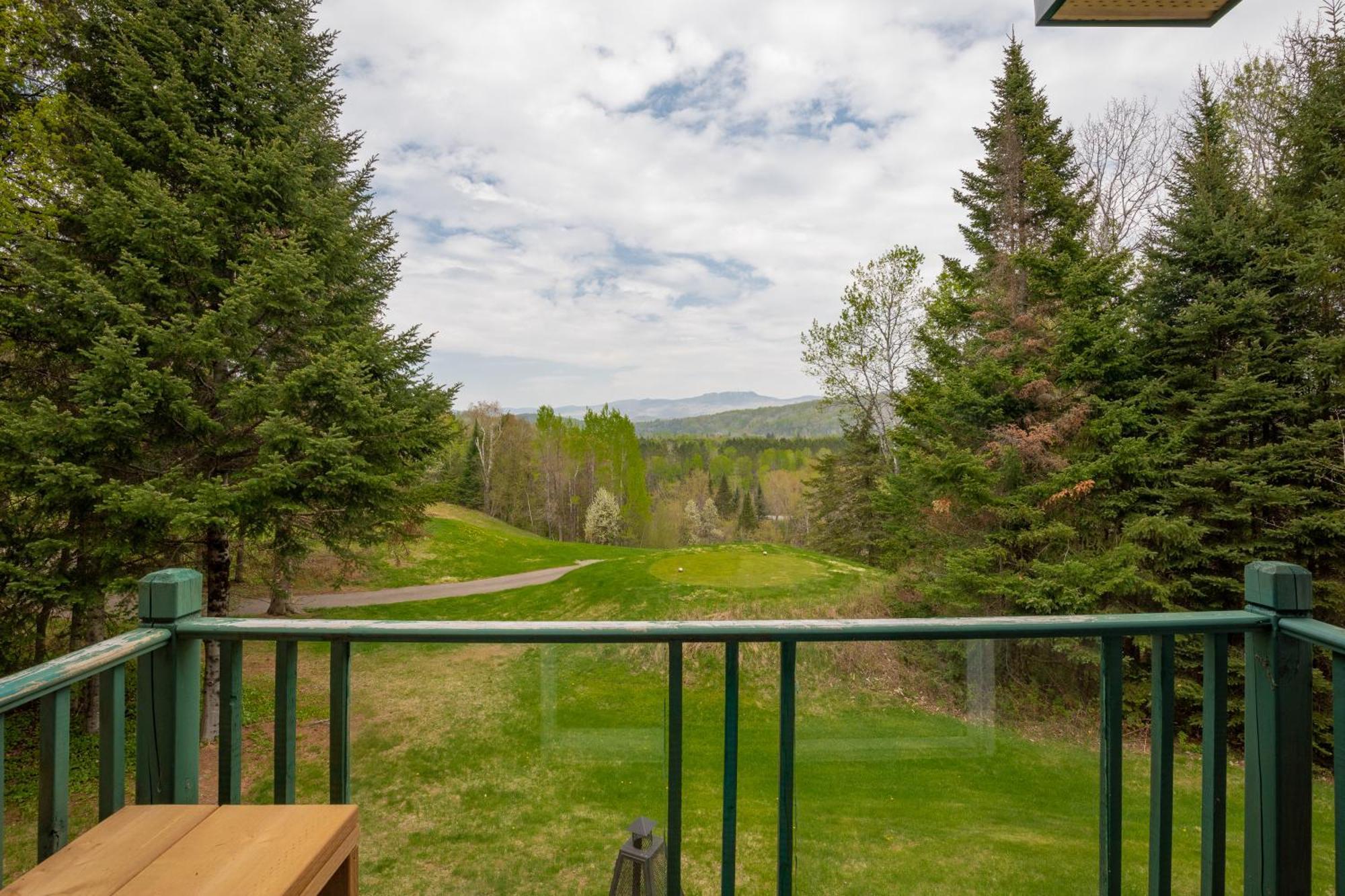 2-Level Home - Tremblant Mountain View - Fireplace Mont-Tremblant Exterior photo